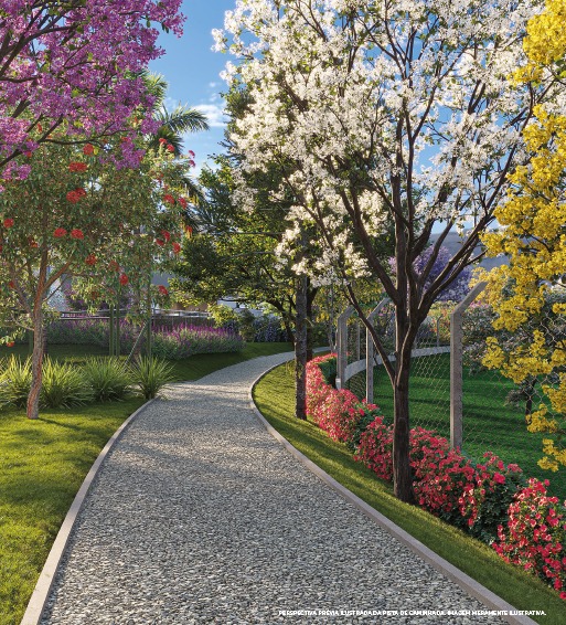 Pista de caminhada  